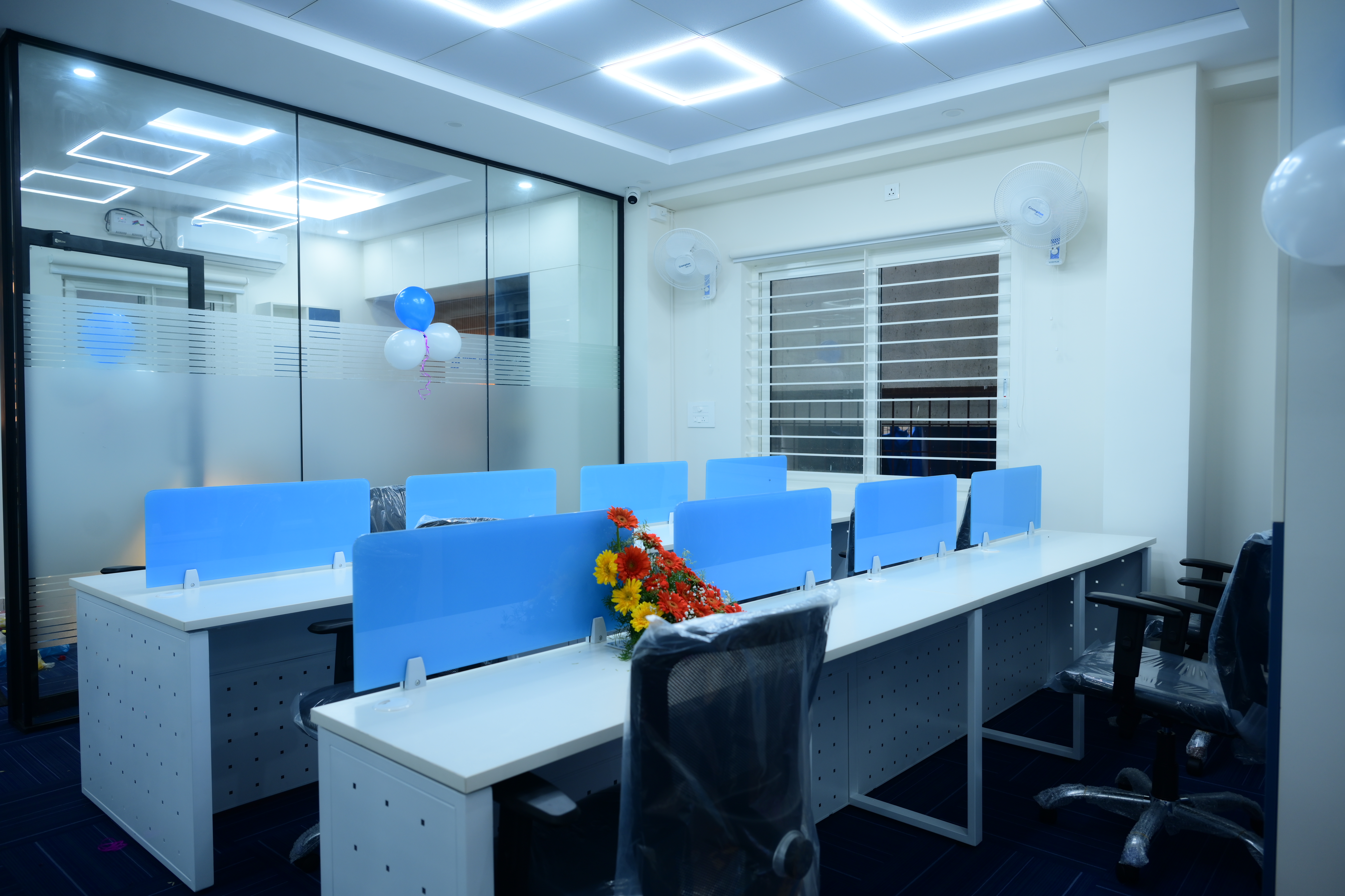 Rise Infotech Office